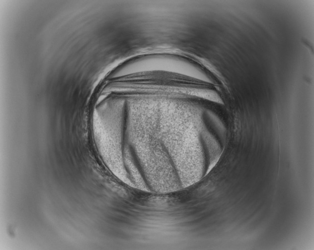 X0000099531364200806131118