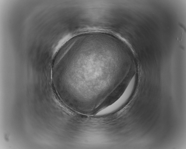 X0000099531365200806131118