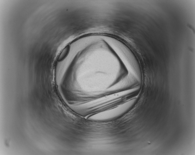 X0000099531366200806131118