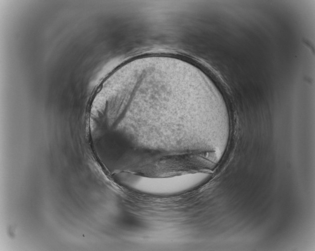 X0000099531367200806131118