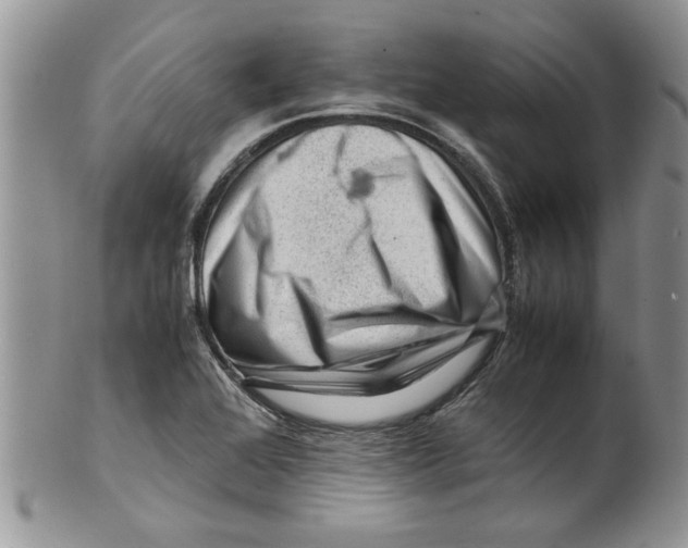 X0000099531368200806131118