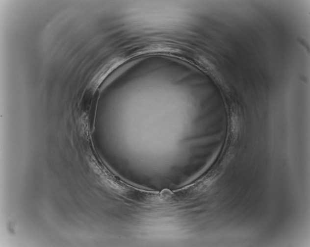 X0000099531369200806131118