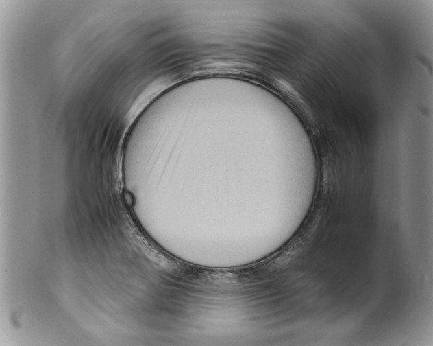 X0000099531370200806131118