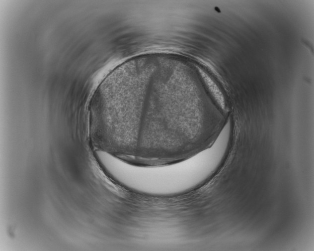 X0000099531371200806131118