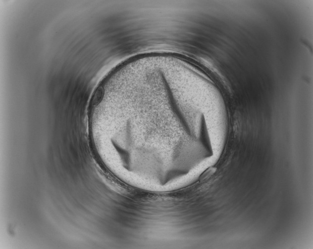 X0000099531372200806131118