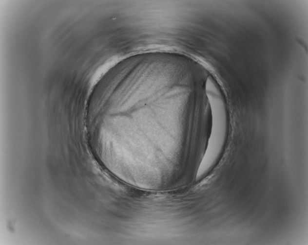 X0000099531373200806131118