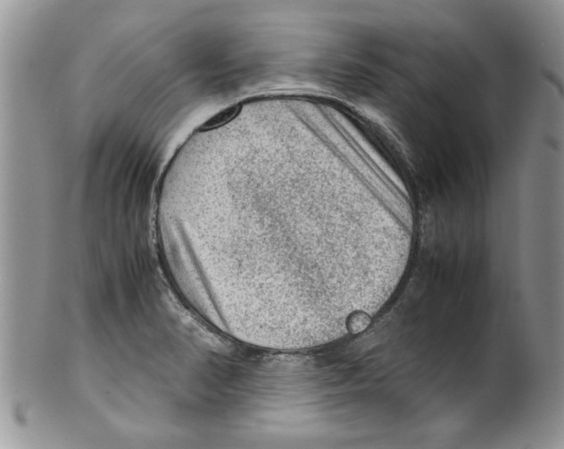 X0000099531374200806131118