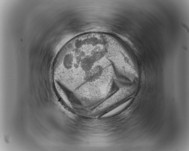 X0000099531375200806131118