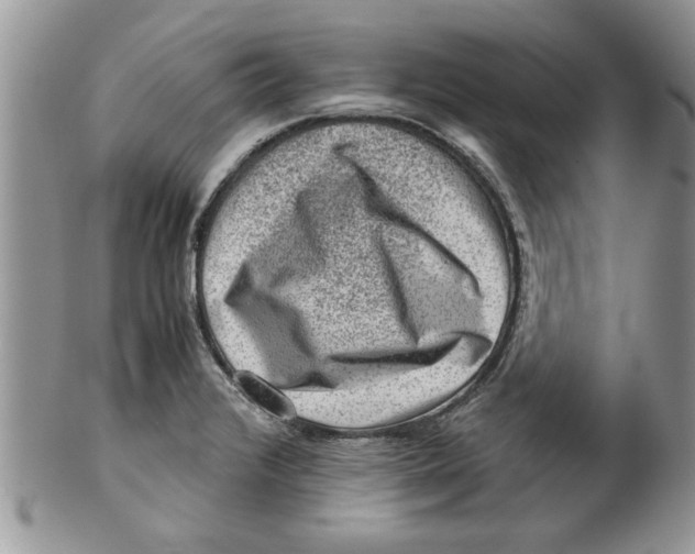 X0000099531376200806131118