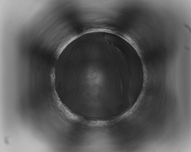 X0000099531377200806131118