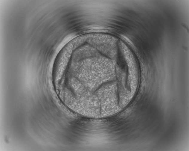 X0000099531378200806131118