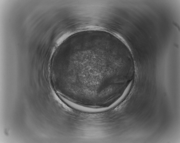 X0000099531381200806131118