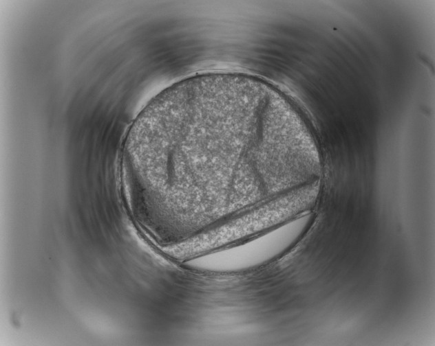 X0000099531382200806131118