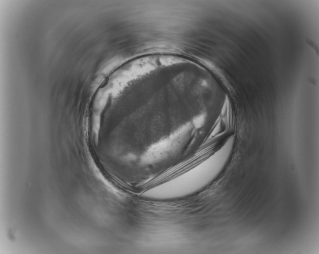 X0000099531383200806131118