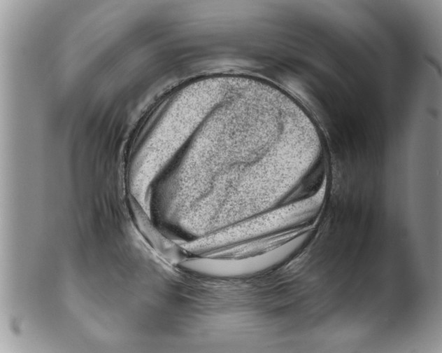 X0000099531384200806131118