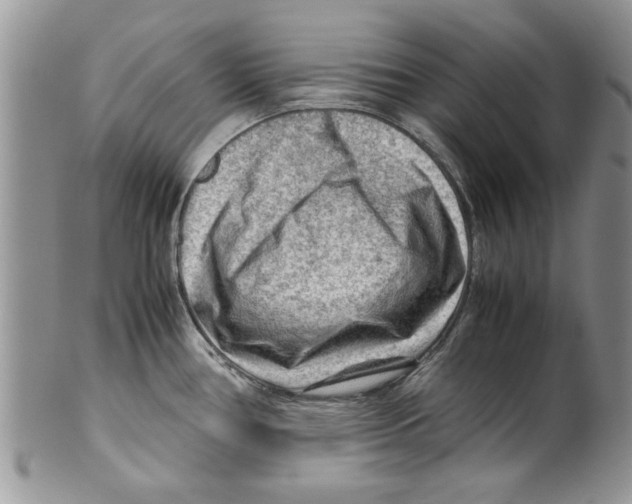 X0000099531386200806131118