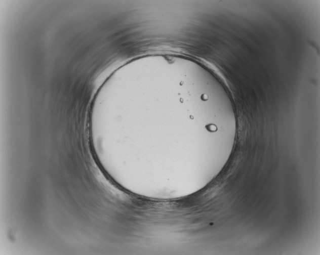 X0000099531387200806131118