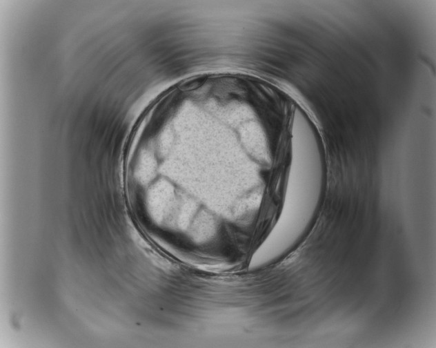 X0000099531388200806131118