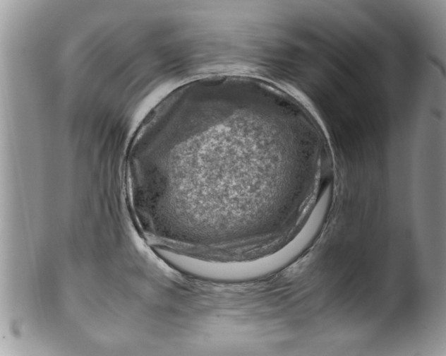 X0000099531389200806131118