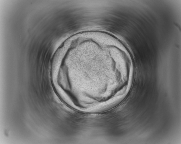 X0000099531390200806131118