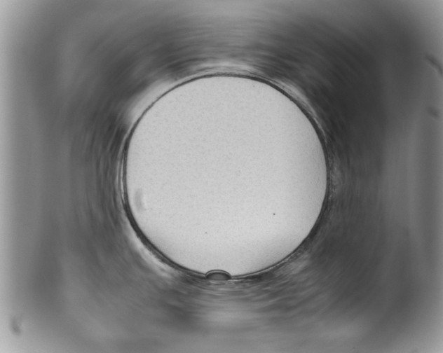 X0000099531391200806131118