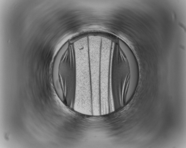 X0000099531392200806131118