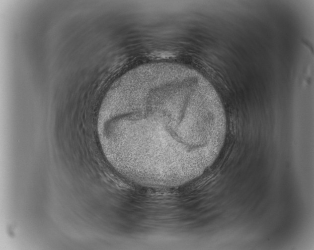 X0000099531393200806131117