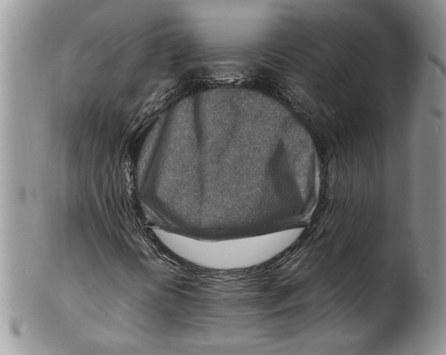 X0000099531394200806131117