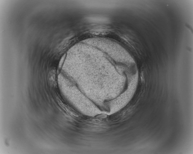 X0000099531396200806131117