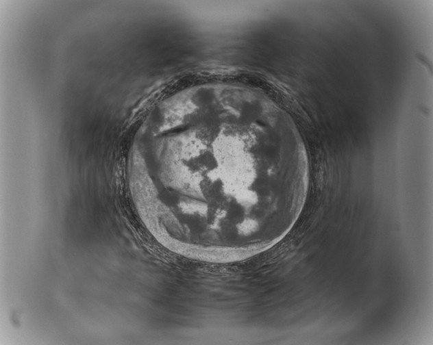 X0000099531397200806131117