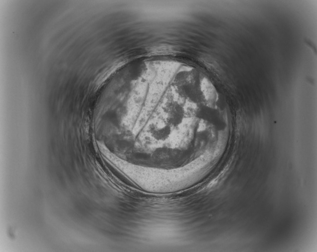 X0000099531401200806131117