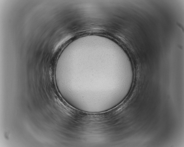 X0000099531402200806131117