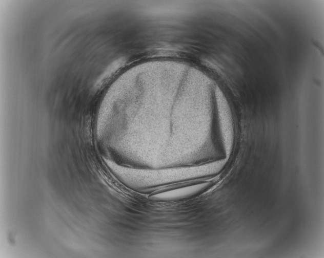 X0000099531403200806131117