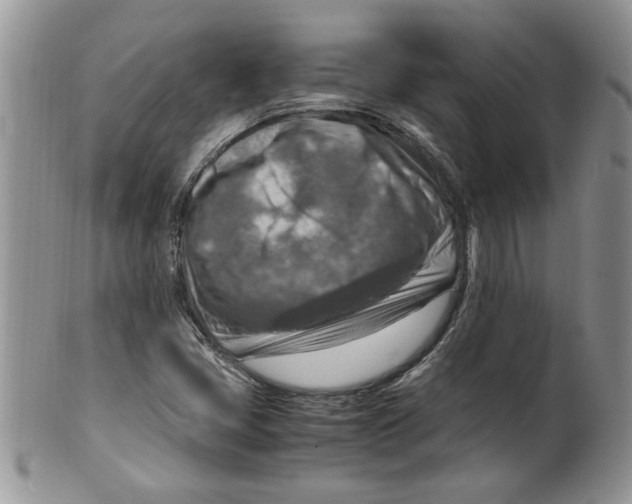 X0000099531405200806131117