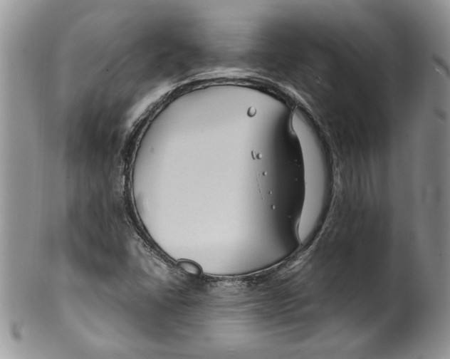 X0000099531406200806131117