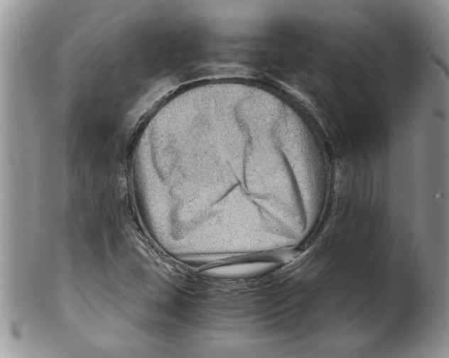 X0000099531407200806131117