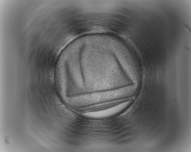 X0000099531409200806131117