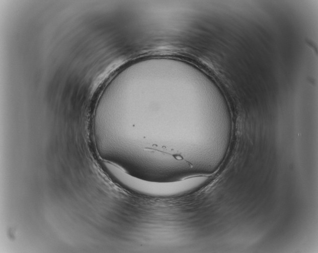 X0000099531410200806131117