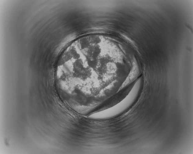 X0000099531411200806131117