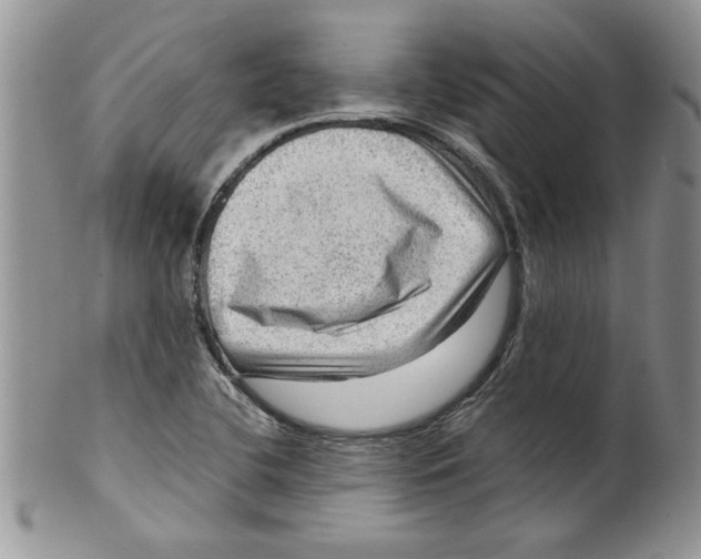 X0000099531412200806131117