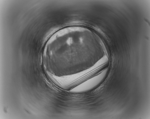 X0000099531413200806131117