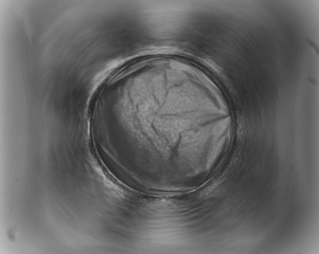 X0000099531414200806131117