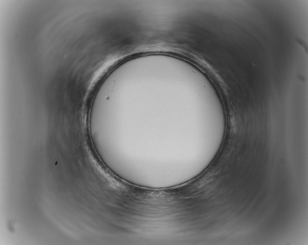 X0000099531416200806131117