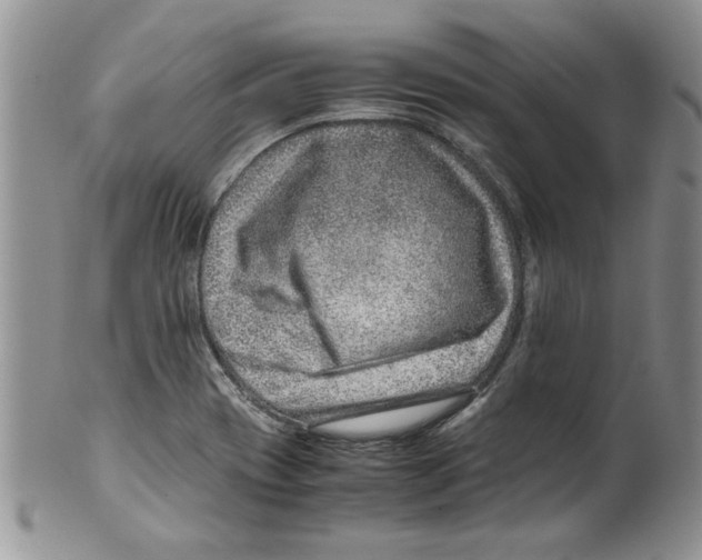 X0000099531417200806131117