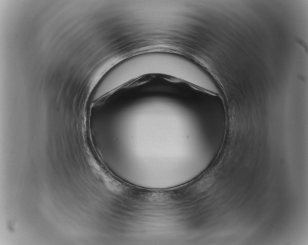 X0000099531418200806131117