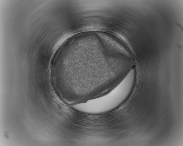 X0000099531419200806131117