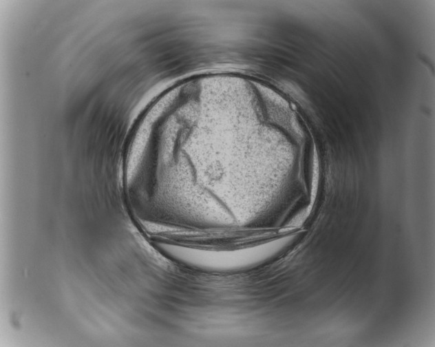 X0000099531420200806131117