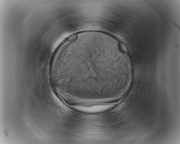 X0000099531422200806131117