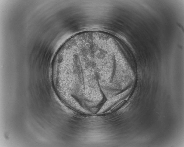 X0000099531424200806131117