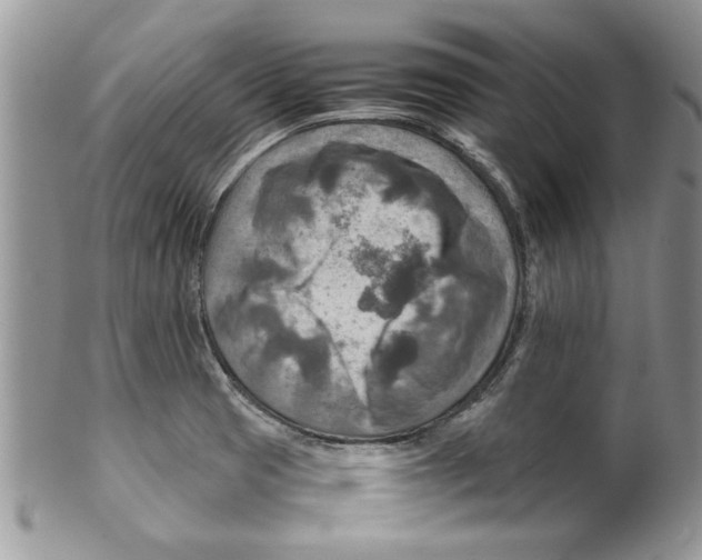 X0000099531425200806131117